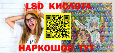 гашик Будённовск