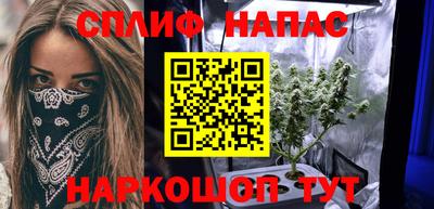 гашик Будённовск