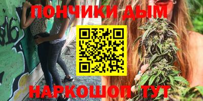гашик Будённовск
