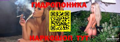 гашик Будённовск