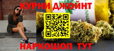 гашик Будённовск