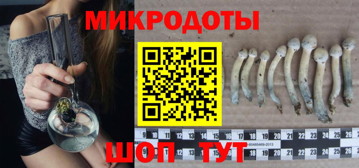 Псилоцибиновые грибы Psilocybine cubensis  Галлюциногенные грибы Psilocybe  Магадан  Вход с VPN 