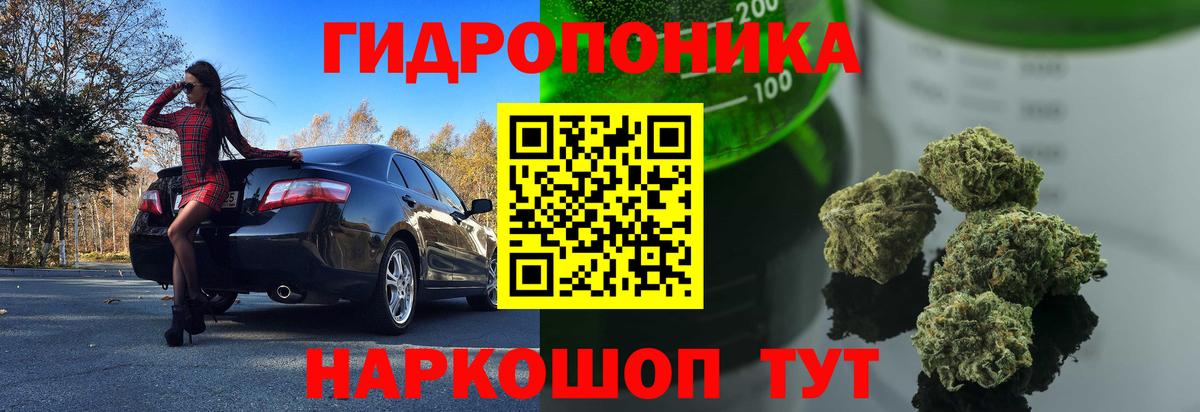МАРИХУАНА план  Канабис ГИДРОПОН  Магадан  Марихуана гибрид  Вход с VPN 
